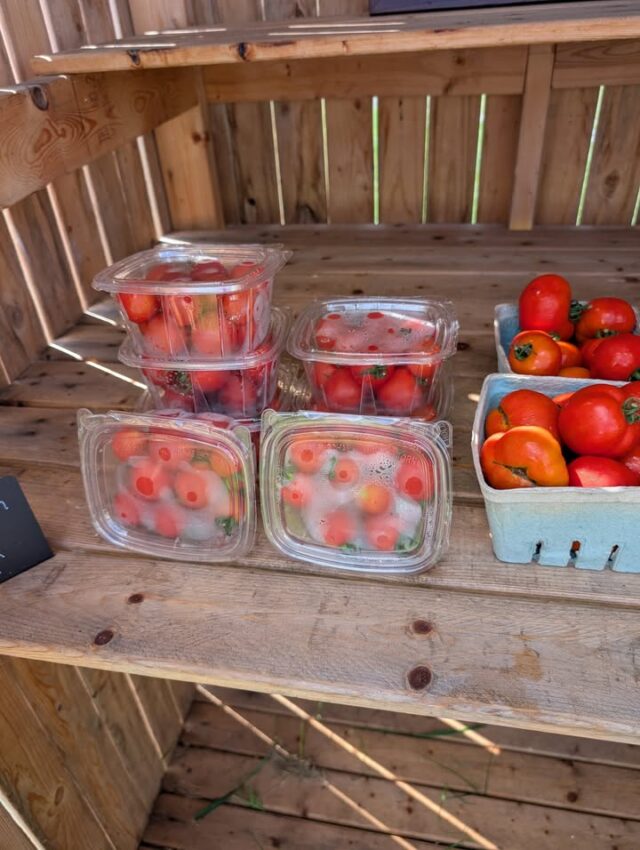 There's so many beautiful things in the stand today. We have cherry tomatoes, larger tomatoes, and cucumbers. We also have zinnias for sale by the stem. 

We accept cash and credit card 

Open until 7pm today (weather permitting)