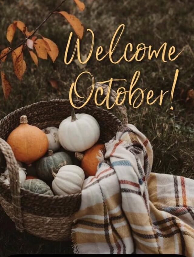 It's so hard to believe October is here once again! It seems like only yesterday the year began. What is your favorite thing about October?

#mosheimtn #greenevilletn #localproduce #supportlocal