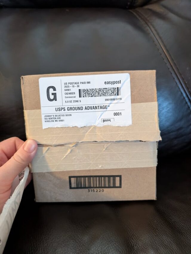 I recently received flowers for next year's flower garden. We should be having some beautiful bouquets. What flowers do you hope to see next year?