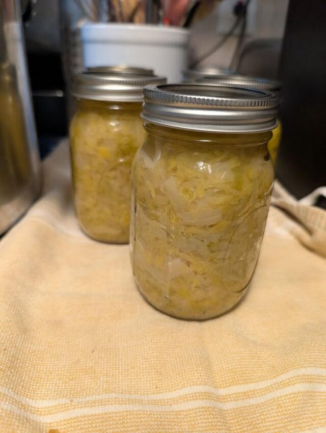 Finished product! Here is the finished sauerkraut from the last cabbages of the season. After letting it ferment for a little over a week, I canned it to make it shelf stable.
