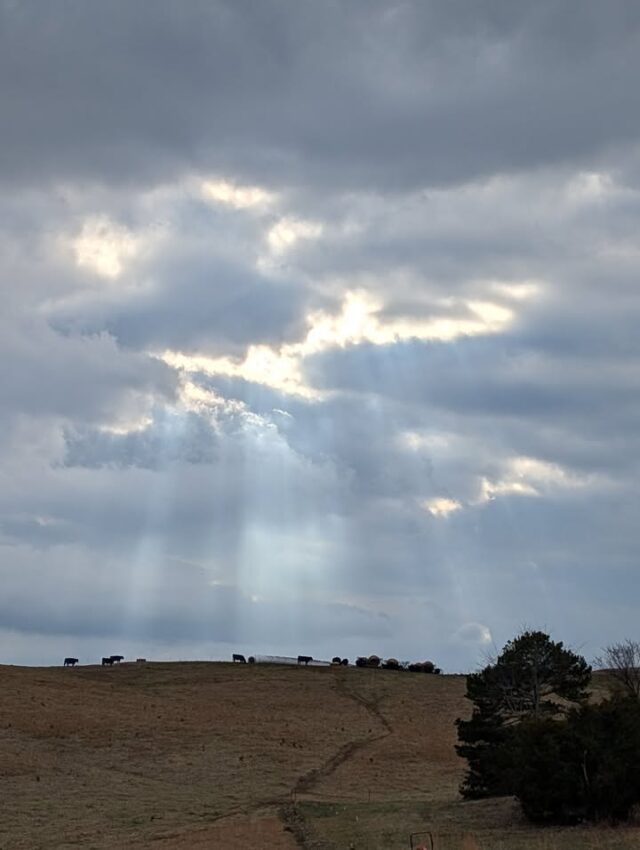 It's always such a beautiful day when the sunshine peeks through the clouds!